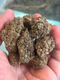 CBD PURPLE BLISS