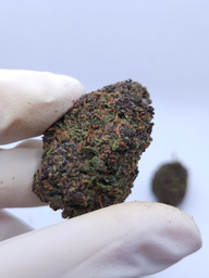 FLOR DE CBD PURPLE DIESEL