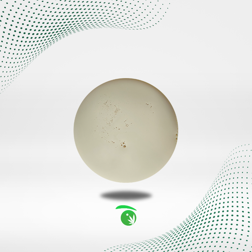 ISOLADO DE CBD HIDROSOLUBLE