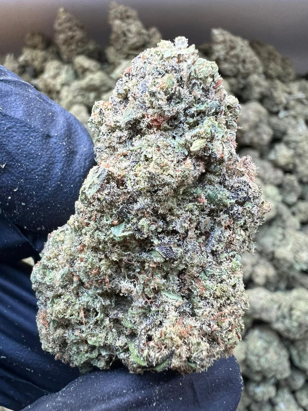CBD FLOWER WHITE RUNTZ