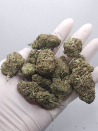 CBD FLOWER SORBET