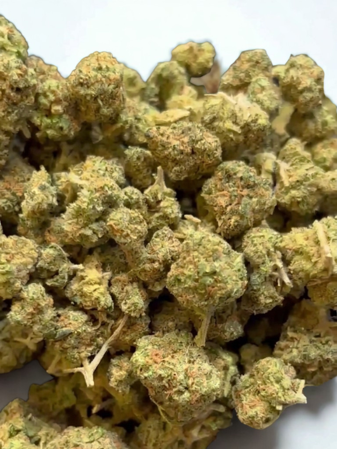 CBD-Blüten Blueberry Mini Buds