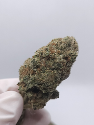 CBD FLOWER SORBET
