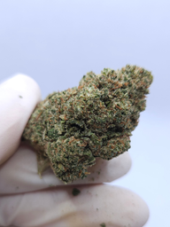 CBD BLOEM LEMON HAZE
