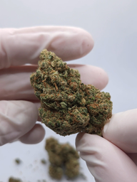 FLOR DE CBD AMNESIA