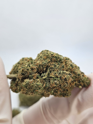 CBD BLOEM PLUSHBERRY