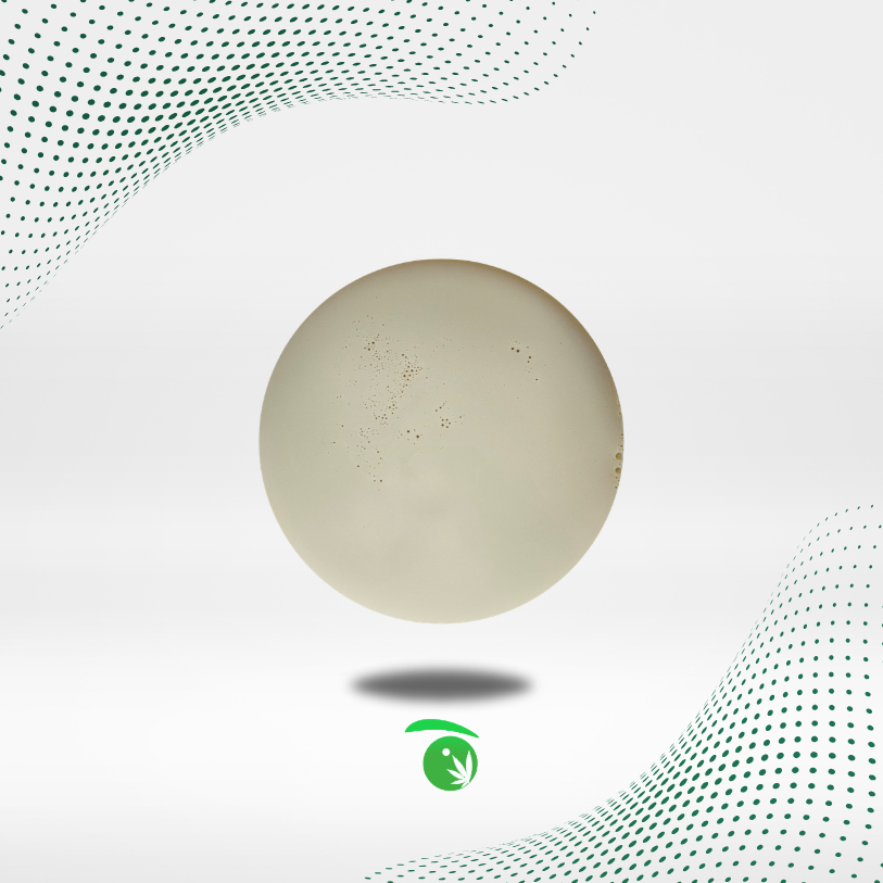 CBG ISOLATE LÍQUIDO HIDROSOLUBLE