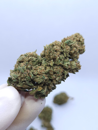 FLEUR DE CBD CALI OCTANE