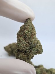 FIORE DI CBD PLUTONIUM