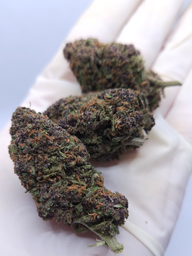 FLOR DE CBD PURPLE DIESEL