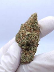 CBD FLOWER ORANGELLO
