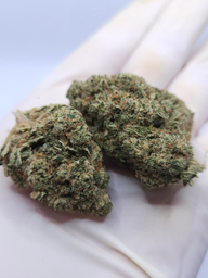 CBD BLOEM LEMON HAZE