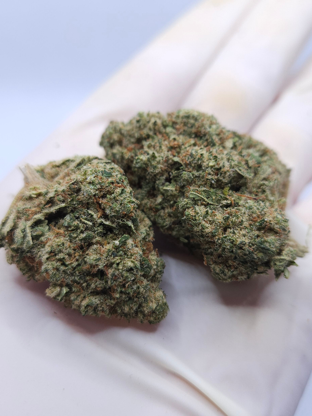FLOR DE CBD LEMON HAZE