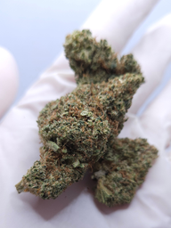 CBD FLOWER ORANGELLO