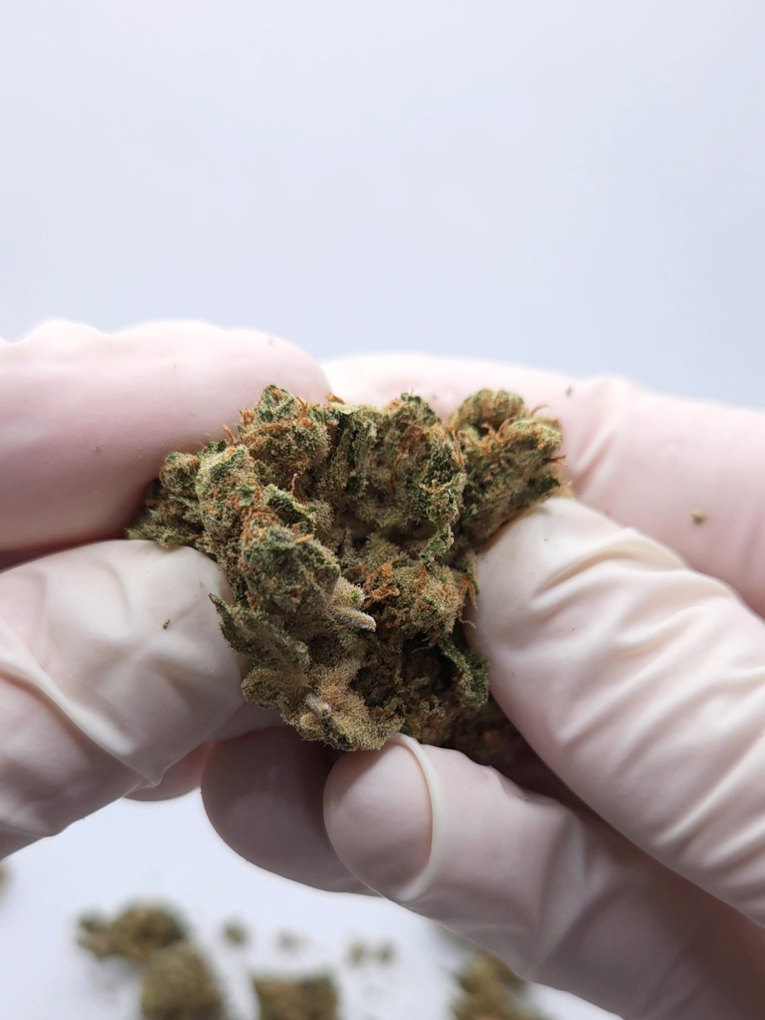 CBD BLÜTEN AMNESIA