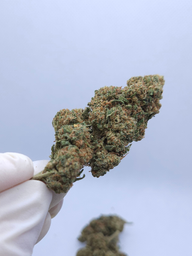 CBD FLOWER WHITE CANDY