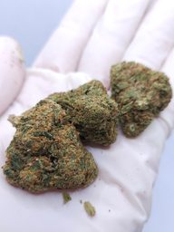 CBD BLÜTE MIMOSA