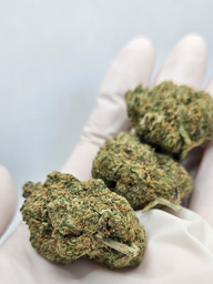 CBD BLOEM PLUSHBERRY